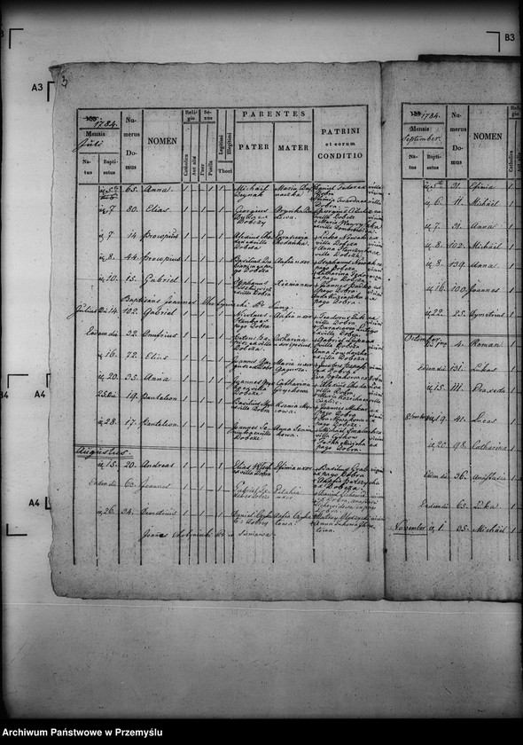 Obraz 7 z jednostki "[Kopie ksiąg metrykalnych parafii Dobra (dekanat Sieniawa)]"