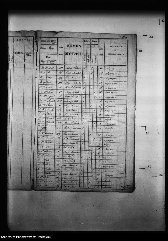 Obraz 12 z jednostki "[Kopie ksiąg metrykalnych parafii Zawadów (dekanat Niemirów)]"