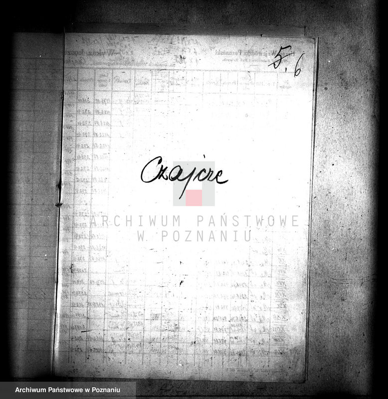 Obraz 10 z jednostki "Operat szacunkowy majątku Czajcze powiatu wyrzyskiego"