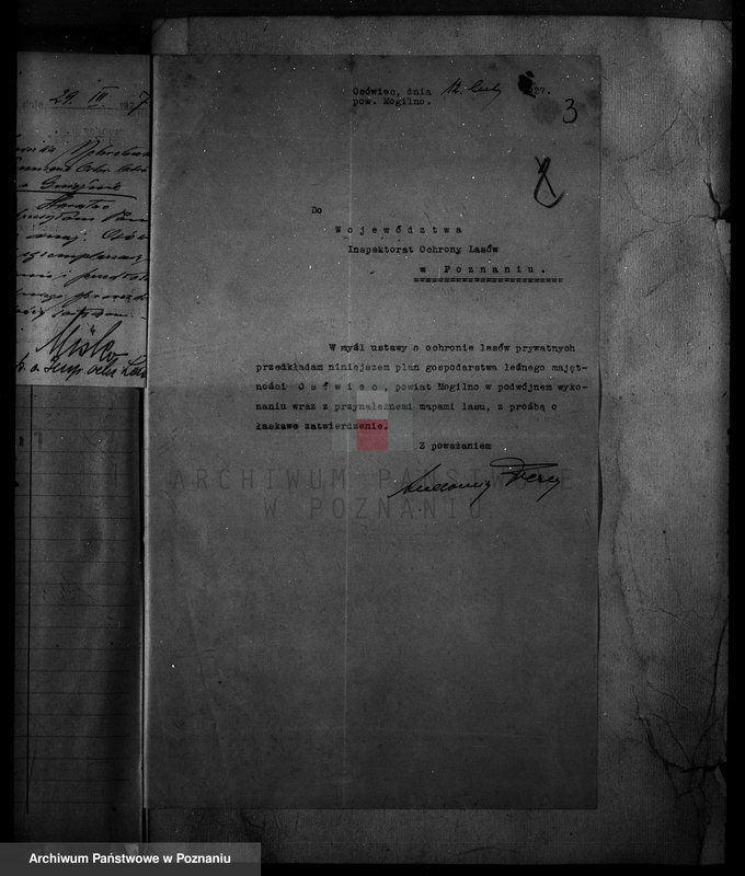 Obraz 7 z jednostki "Majętność /leśna Ossowiec/ powiat mogileński"