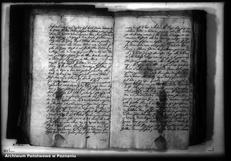 Obraz 10 z jednostki "Lauda [acticantia]"