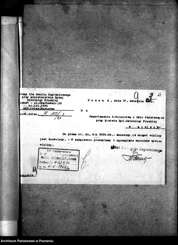 Obraz 13 z jednostki "Sprawy szczegółowo-administracyjne Koszykarstwo"