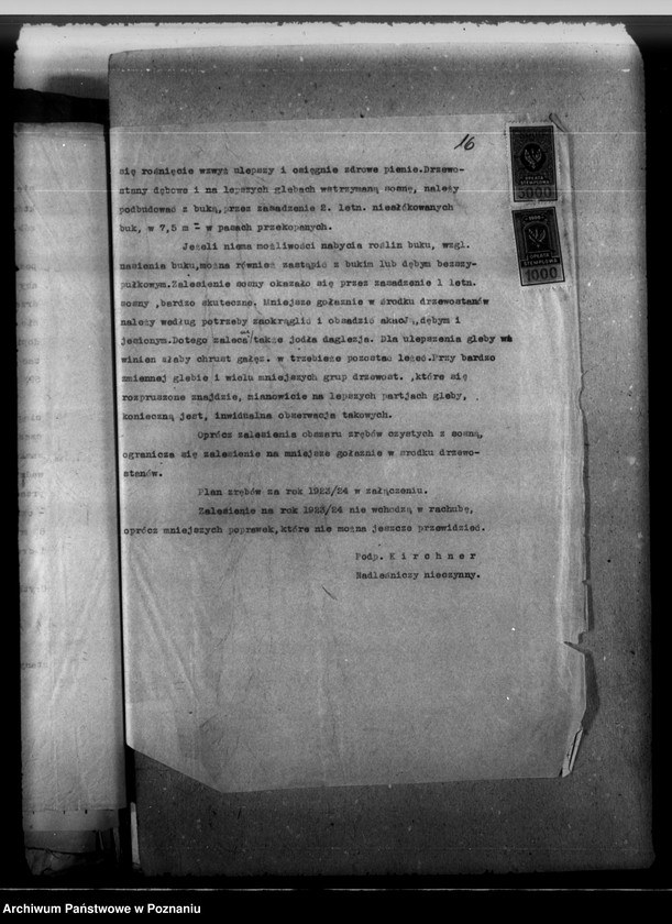 Obraz 20 z jednostki "Majętność leśna Górzno-Bojanice powiat leszczyński"