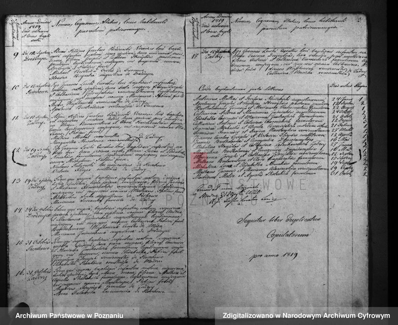 image.from.unit.number "Duplicatus baptisatorum, copulatorum, mortuorum"