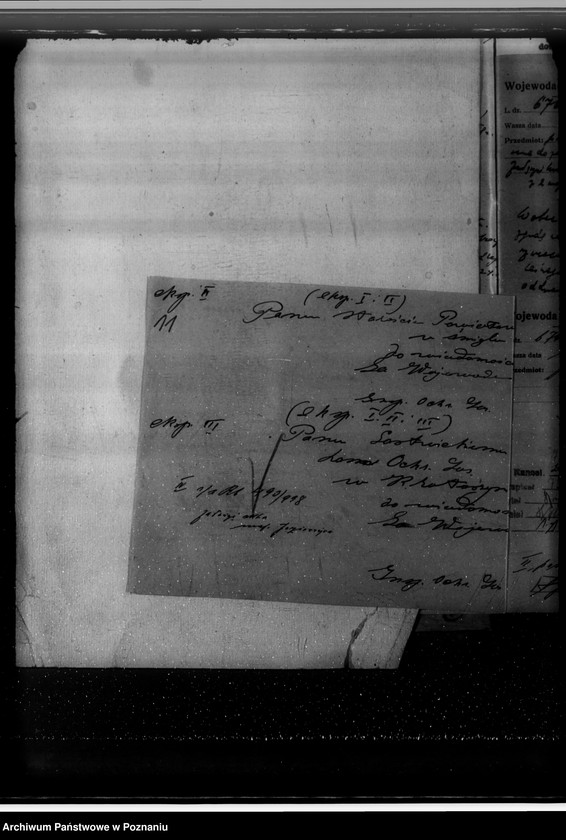 Obraz 15 z jednostki "Nadzór nad gospodarką w lasach majętności Jezierzyce"