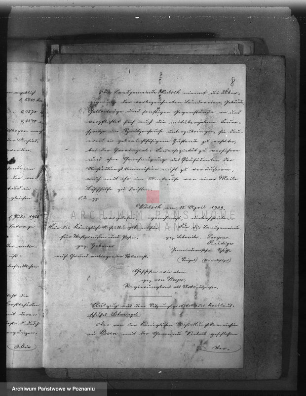 Obraz 12 z jednostki "Las gminy Olszewo powiat ostrowski"