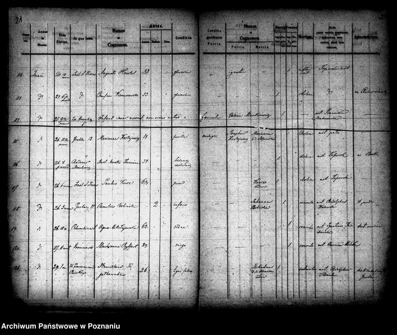 Obraz 12 z jednostki "Księga zgonów"