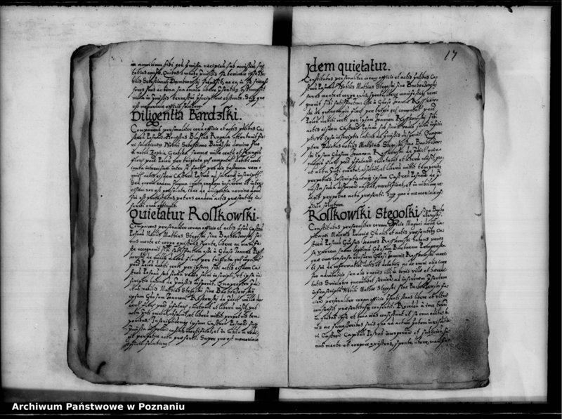 Obraz 20 z jednostki "Inscriptiones, relationes [inducta]"