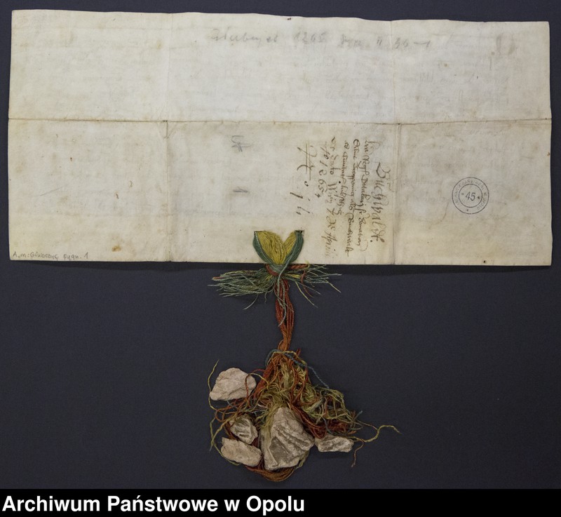 image.from.collection.number "Głubczycki las111"