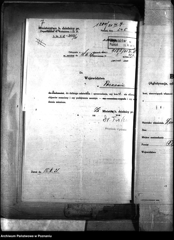 Obraz 11 z jednostki "Nosacizna - Pleszew"