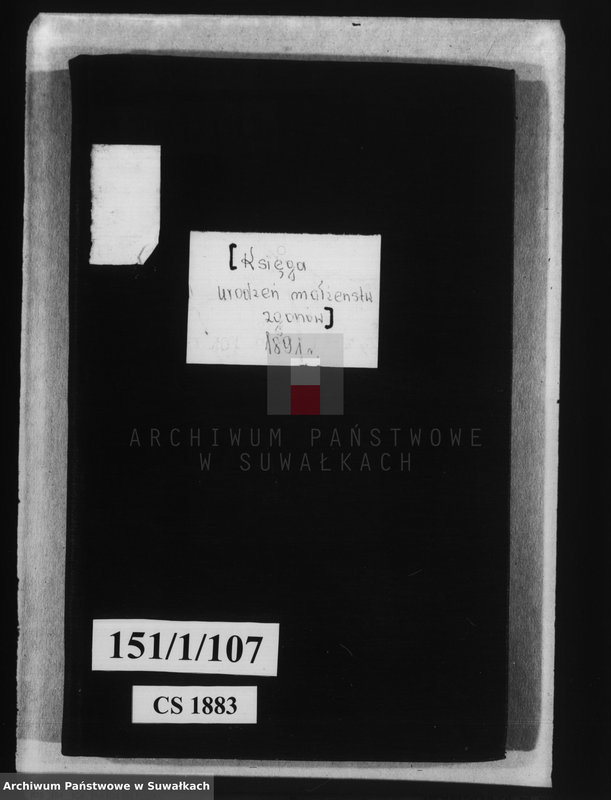 Obraz 4 z jednostki "Księga urodzeń, małżeństw i zgonów [wyznania rzymsko-katolickiego w Filipowie]"