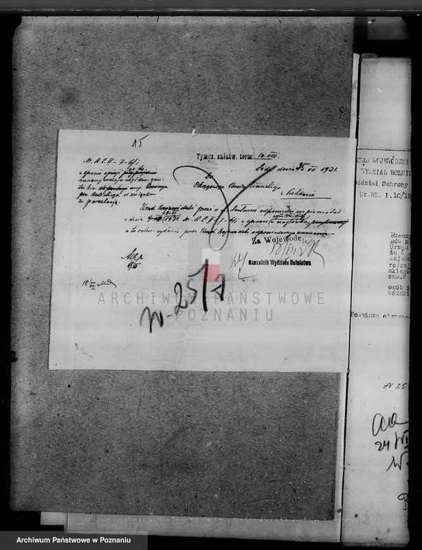 Obraz 19 z jednostki "Zmiana rodzaju użytkowania 40 ha gruntów leśnych w majątku Brańczyn w powiecie kaliskim"