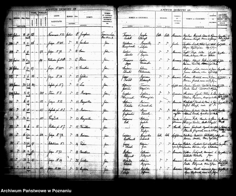 Obraz 20 z jednostki "Księga urodzin"