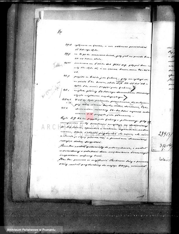 Obraz 19 z jednostki "Majętność leśna Sarbinowo w powiecie gostyńskim"