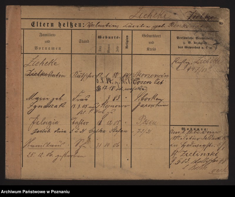 image.from.unit.number "Zielke - Ziemniak"