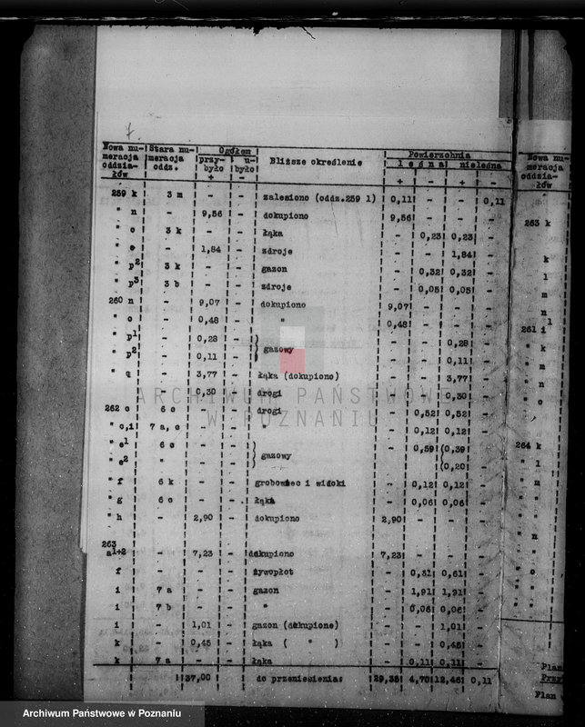 Obraz 11 z jednostki "/Nadzór nad gospodarką w lasach majątku Krucz-Goraj w powiecie czarnkowskim"