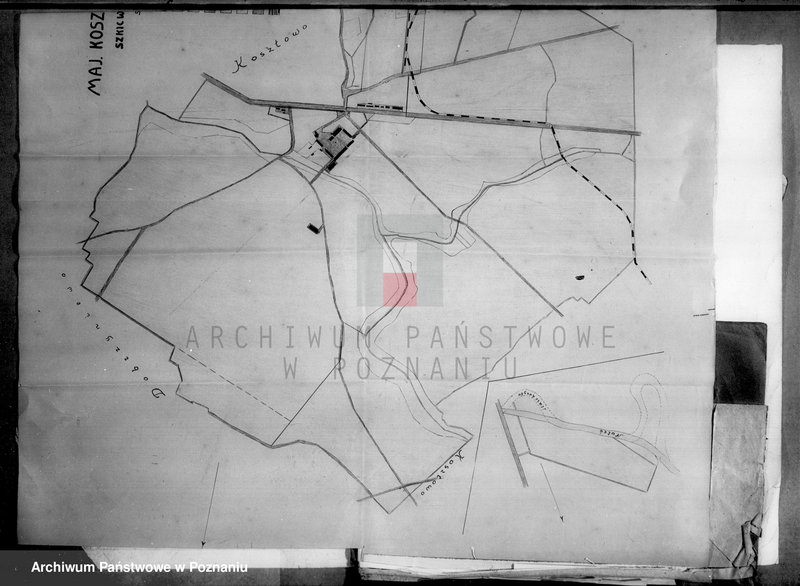 Obraz 20 z jednostki "Majątek Kosztowo powiatu wyrzyskiego wyłączenie z art. 5 ustawy o wykonaniu reformy rolnej"