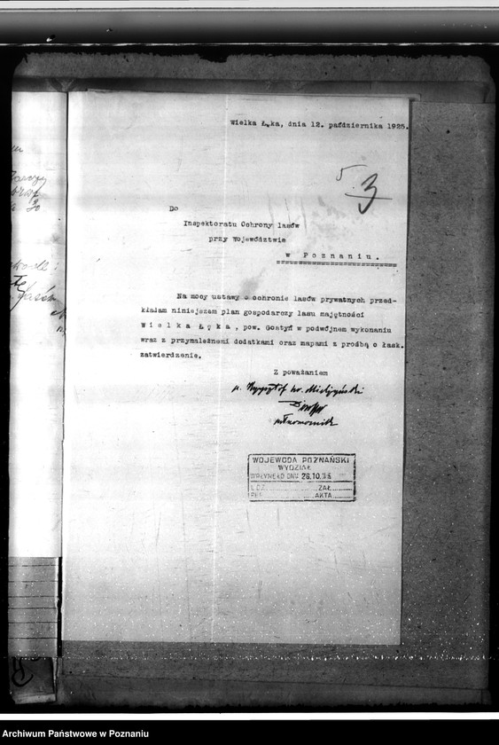 Obraz 9 z jednostki "Majętność leśna Łąka Wielka"