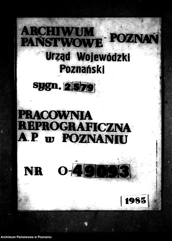 Obraz 1 z jednostki "Majątek Rozbitek powiatu międzychodzkiego zatwierdzenie projektu parcelacyjnego"
