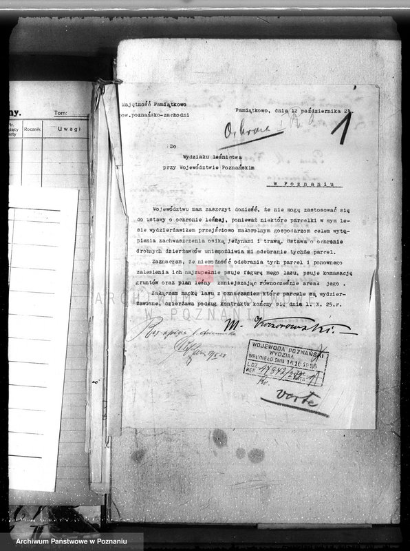 Obraz 7 z jednostki "Nadzór nad gospodarką w lasach majętności Pamiątkowo powiat obornicki"