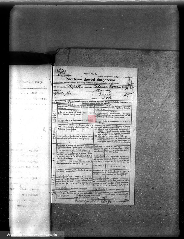 Obraz 20 z jednostki "Nadzór nad gospodarką w lasach majętności Borowo powiat średzki"