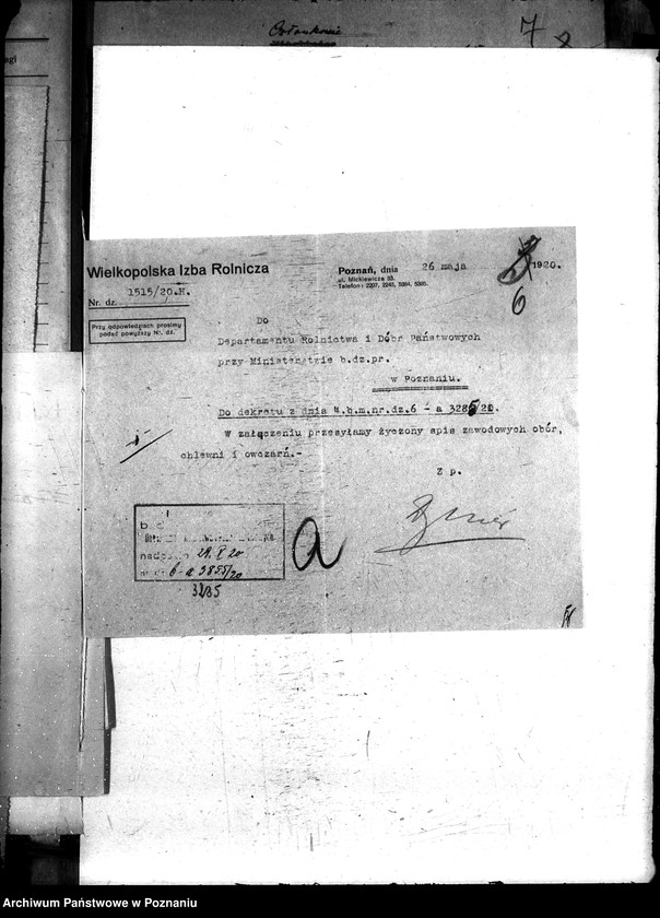 Obraz 12 z jednostki "Sprawy szczegółowo-administracyjne Bydło"