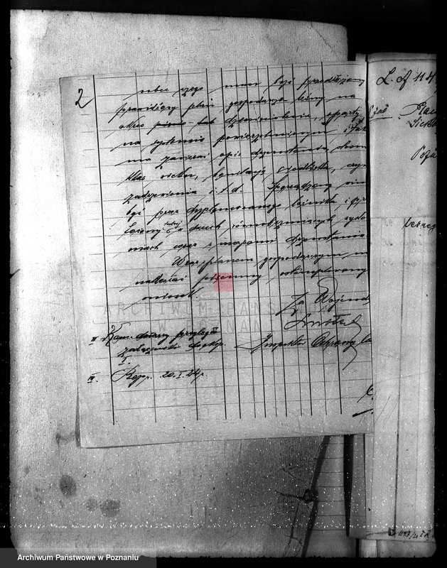 Obraz 6 z jednostki "Majętność leśna /Siekówko/ powiat kościański"