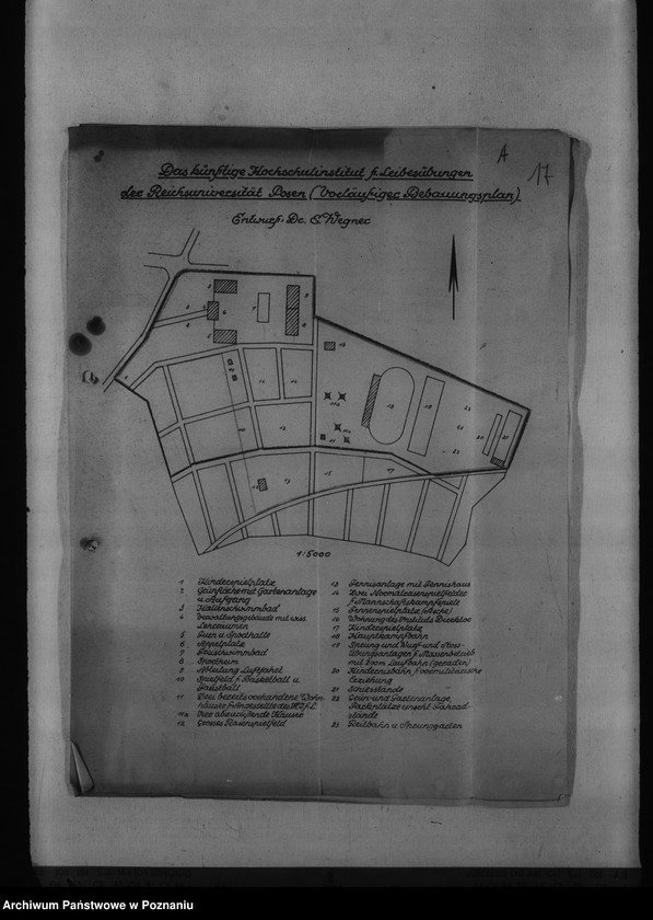 Obraz 20 z jednostki "Baupläne der Universitätsstadt Kornwerk - Posen"