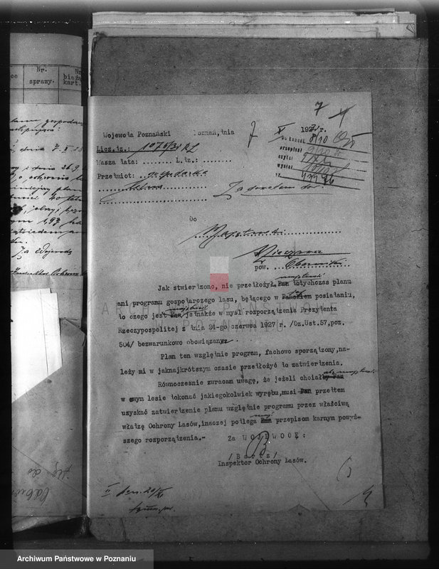 Obraz 11 z jednostki "Nadzór nad gospodarką w lasach majętności Nieszawa powiat obornicki"