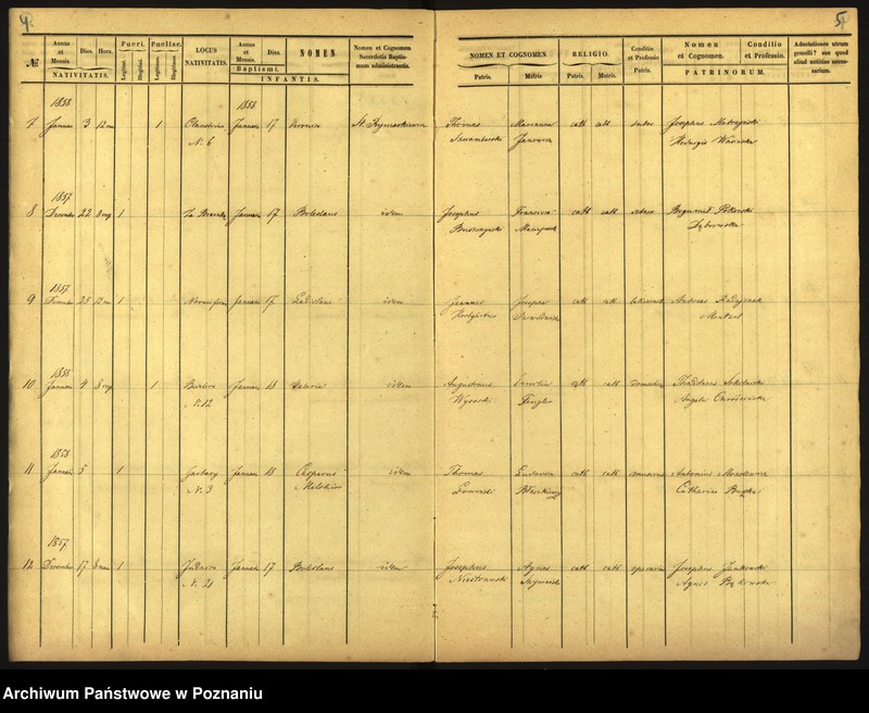 Obraz 5 z jednostki "Księga urodzin"