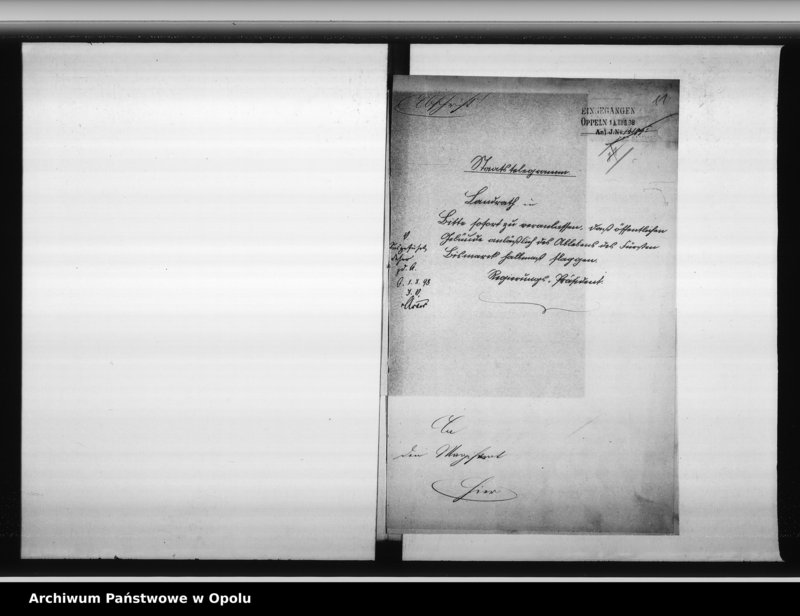 Obraz 14 z jednostki "Acta des Magistrats zu Oppeln betreffend Bismark - Feier pp."