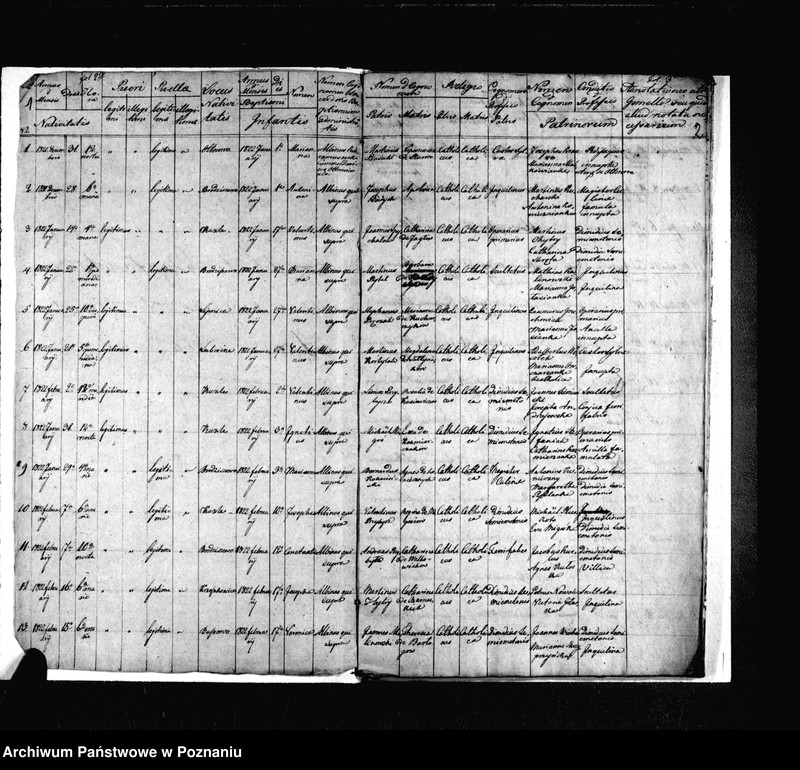 image.from.unit.number "Duplicat baptisatorum, copulatorum, mortuorum"