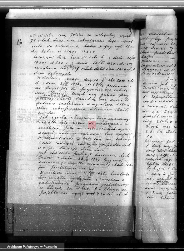 Obraz 20 z jednostki "Majątek Goliński powiat koniński /nadzór nad gospodarką leśna/"