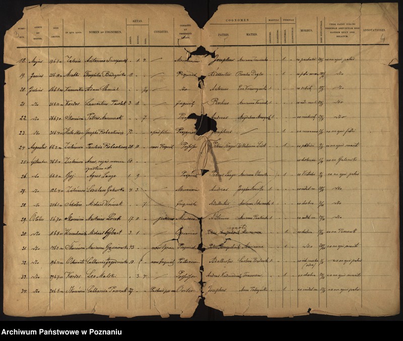 image.from.unit.number "Liber mortuorum"