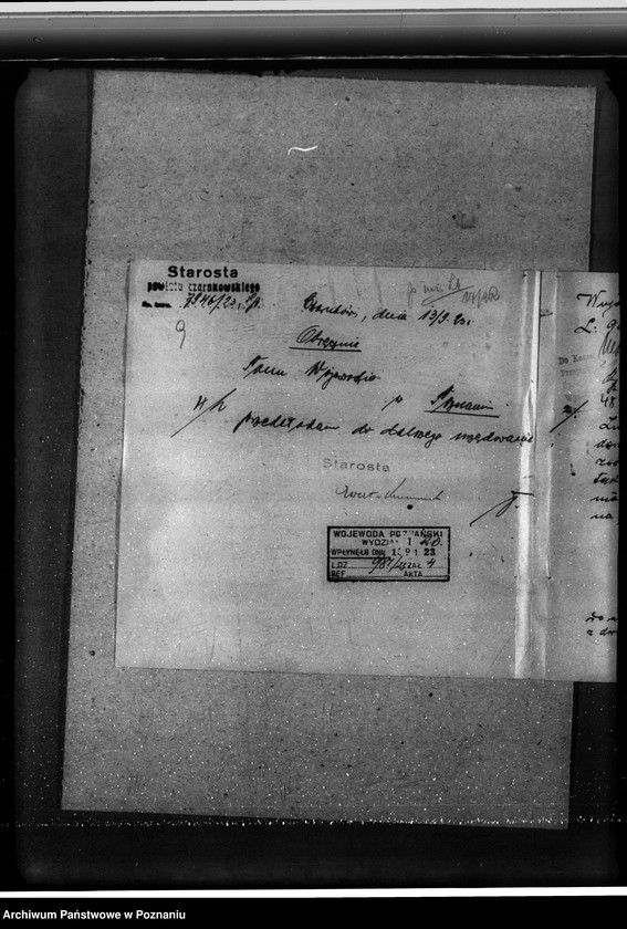 Obraz 13 z jednostki "/Nadzór nad gospodarką w lasach gminy Osuch w powiecie czarnkowskim własność Ewald Draeger"