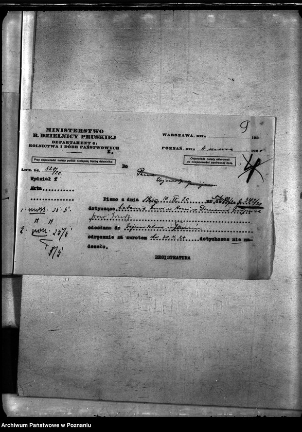 Obraz 13 z jednostki "Nosacizna - Puck"