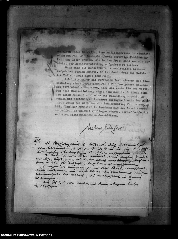 Obraz 15 z jednostki "Tollwut"