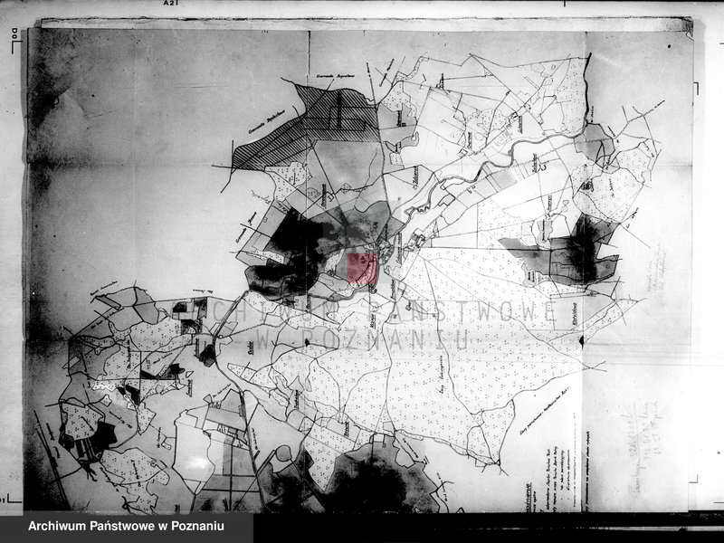 Obraz 8 z jednostki "Łabiszyn powiatu szubińskiego plany parcelowanego majątku"