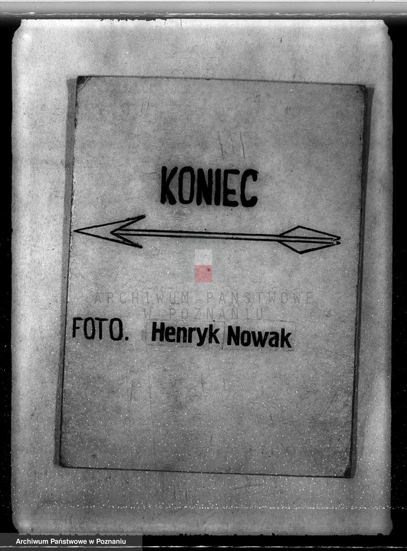 Obraz 19 z jednostki "Sprawa nieprawego wyrębu lasu w majątku Karczew w powiecie kolskim"