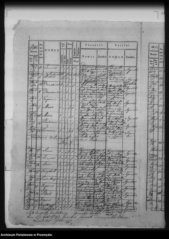 Obraz 11 z jednostki "[Kopie ksiąg metrykalnych parafii Bełz z filiami Prusinów, Tuszków, Witków (dekanat Bełz)]"