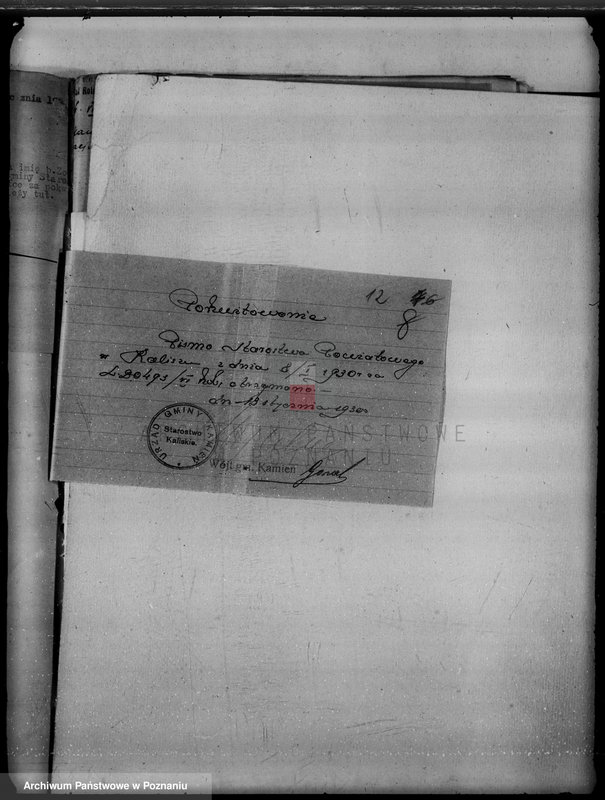 Obraz 16 z jednostki "Majątek Kamień powiat kaliski /sprawy leśne/"