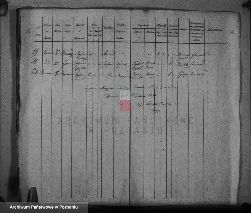 Obraz 13 z jednostki "Duplikat baptisatorum, copulatorum, mortuorum"