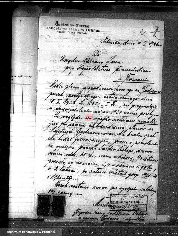 Obraz 6 z jednostki "Majętność leśna Godurowo w powiecie gostyńskim"