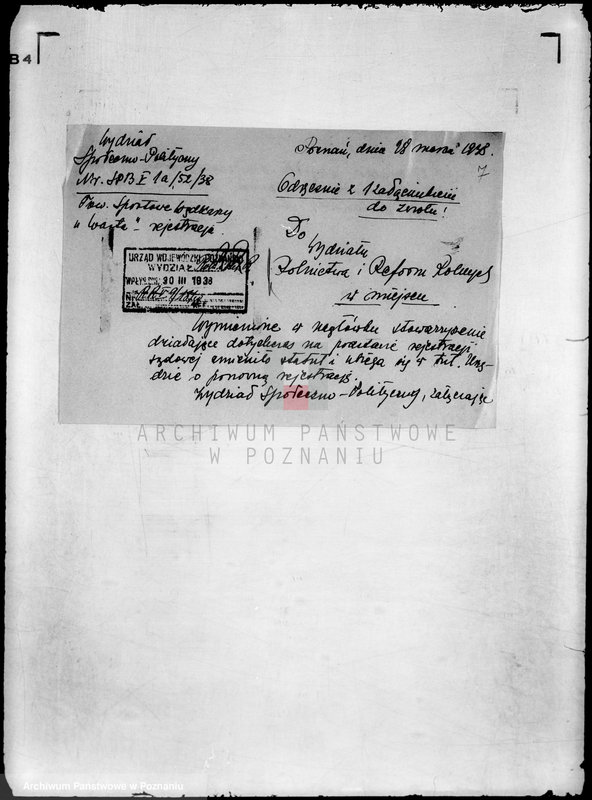 Obraz 11 z jednostki "/Towarzystwo Sportowe Wędkarzy,,Warta" w Poznaniu/"