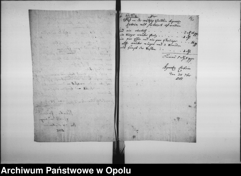 Obraz 15 z jednostki "Acta die Accise Bonificationes für die in anno 1757. 1762 und 1765 zu Oppeln abgebrandte Eygenthümer und Mieths-Einwohner betreffend. Vol. I pro 1767/8 befindlich"