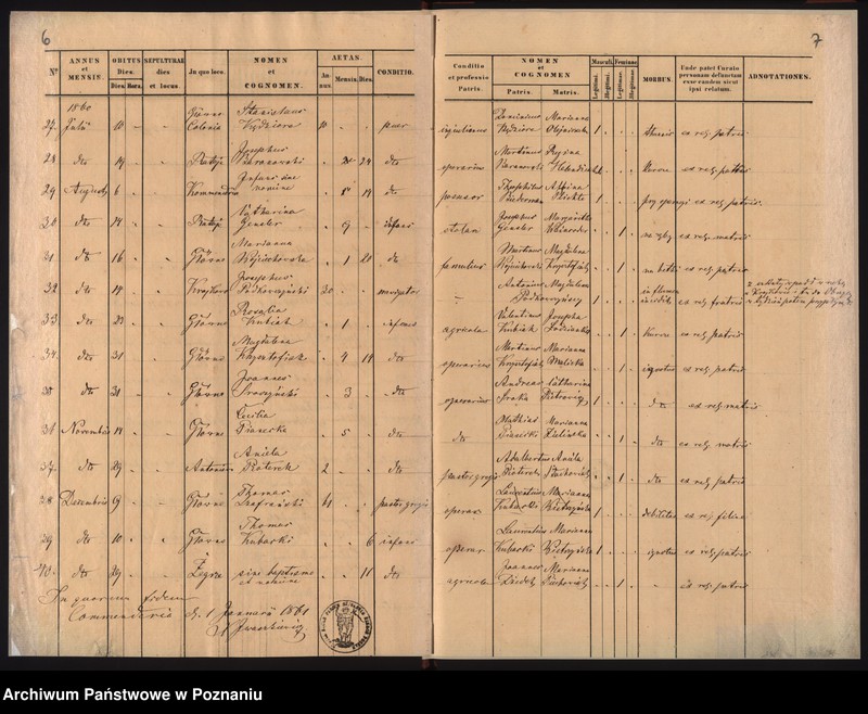 Obraz 6 z jednostki "Duplicat mortuorum"