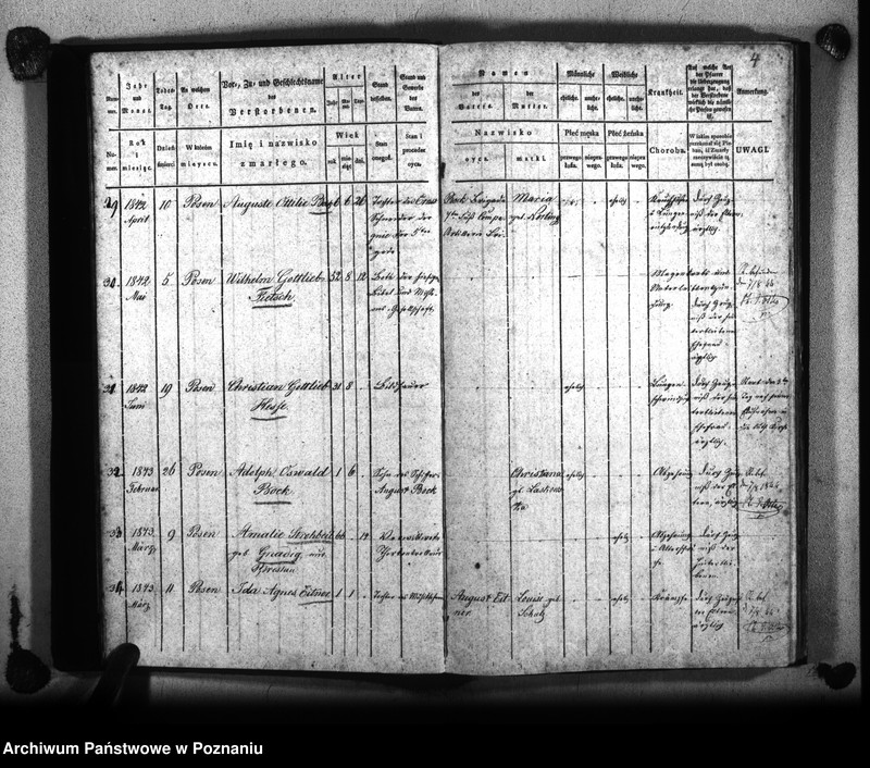 Obraz 8 z jednostki "Księga zejścia"