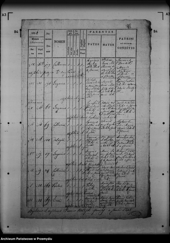 Obraz 20 z jednostki "[Kopie ksiąg metrykalnych parafii Czarna z filią Żołobek (dekanat Lutowiska)]"