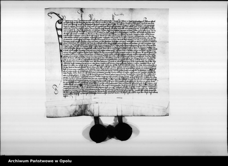 Obraz 11 z jednostki "Jan i Mikołaj, książęta śląscy, na Opolu, Głogówku etc. poświadczają, że stawiła się przed nimi Dorota Pillchwiczynn. Potwierdzają oni jej"