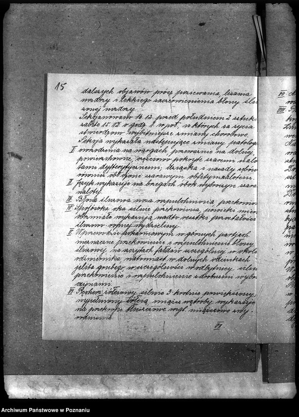 Obraz 19 z jednostki "Księgosusz - Szamotuły"